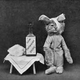 Illustration for article titled Even in the 1870s, humans were obsessed with ridiculous photos of cats
